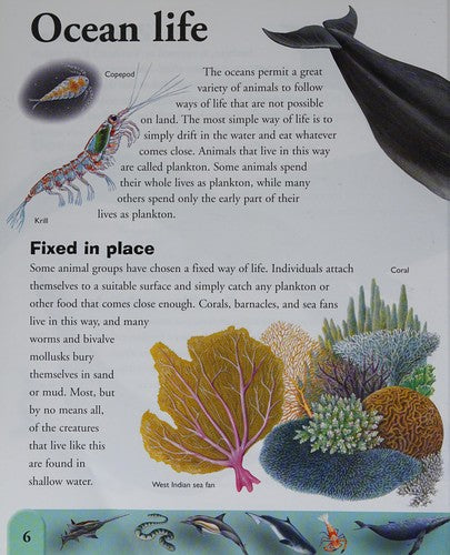 Ocean Life Dictionary Hardcover Alligator Books Marine Animals Reference Guide - book cover