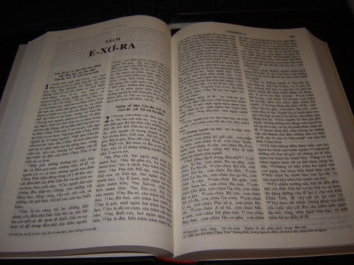 Vietnamese Bible FL Edition Paperback - Vietnamese Language Holy Scripture