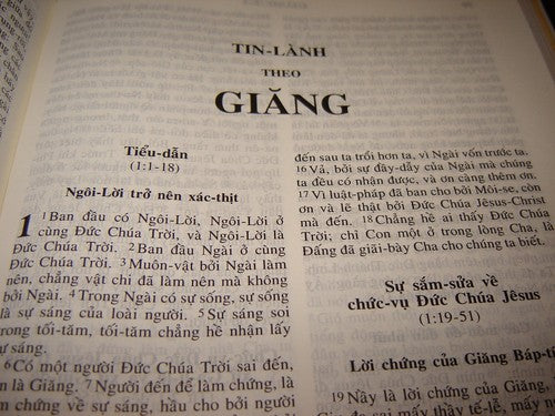 Vietnamese Bible FL Edition Paperback - Vietnamese Language Holy Scripture