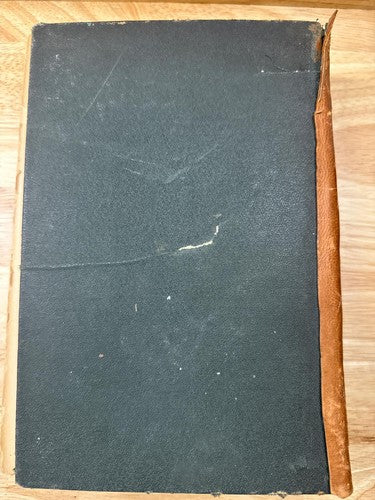 Bird Biographies by Alice E. Ball 1st Edition 1923 Vintage Ornithology Book