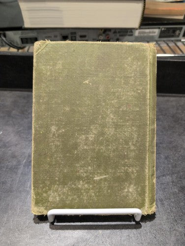 Snubby Nose and Tippy Toes 1917 Laura Rountree Smith Vintage Children's Book