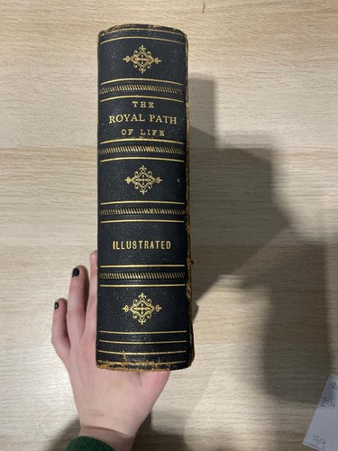 1881 The Royal Path of Life Antique Victorian Self-Help Philosophy Book