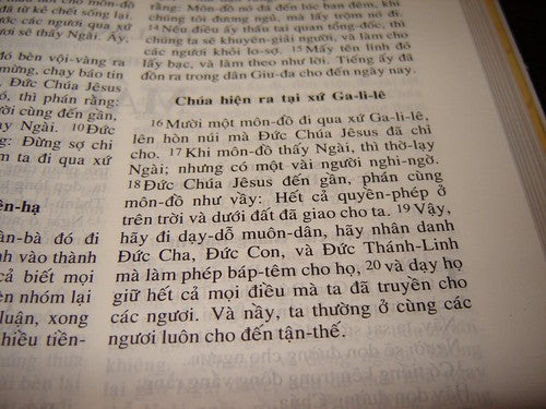 Vietnamese Bible FL Edition Paperback - Vietnamese Language Holy Scripture