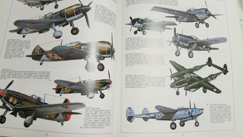 Hunters in the Sky: A Visual Guide to World War II Aircraft Paolo Matricardi and