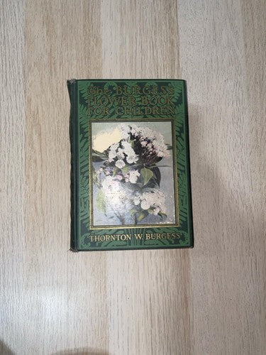 Burgess Flower Book for Children Thornton Burgess 1928 Vintage Nature Guide