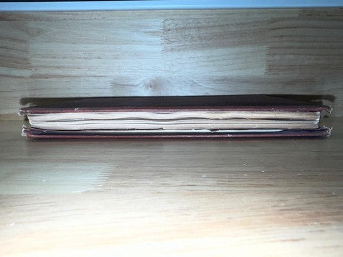 Report of NEW YORK State Survey 1879 Niagara Falls Reservation