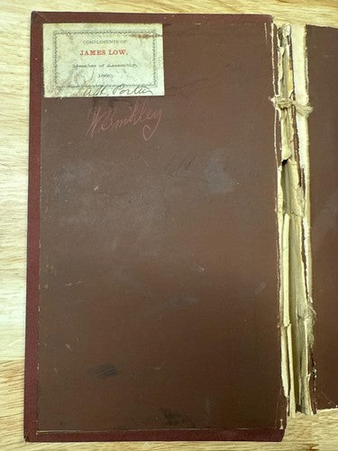Report of NEW YORK State Survey 1879 Niagara Falls Reservation