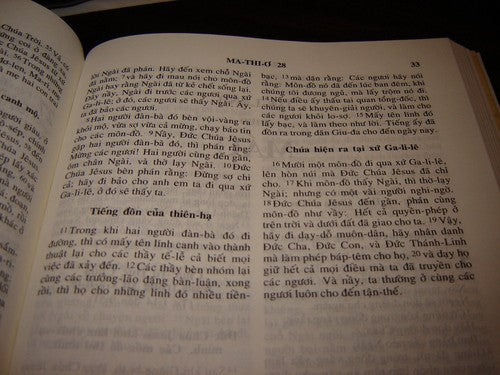 Vietnamese Bible FL Edition Paperback - Vietnamese Language Holy Scripture
