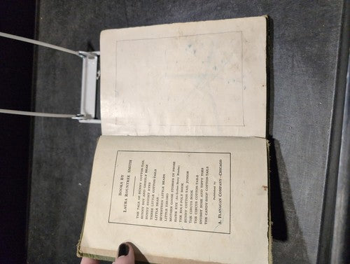 Snubby Nose and Tippy Toes 1917 Laura Rountree Smith Vintage Children's Book
