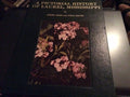 A Pictorial History of Laurel Mississippi from the 1890's to About 1940