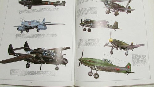 Hunters in the Sky: A Visual Guide to World War II Aircraft Paolo Matricardi and