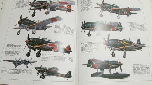 Hunters in the Sky: A Visual Guide to World War II Aircraft Paolo Matricardi and