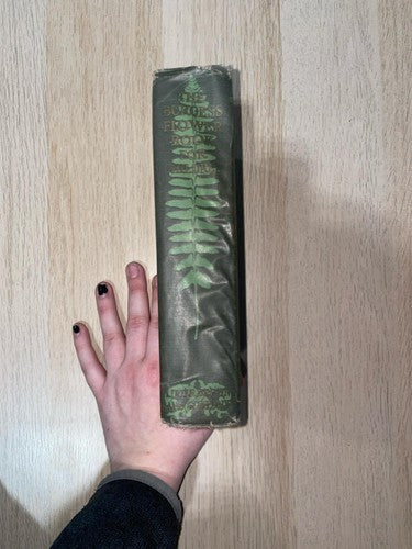 Burgess Flower Book for Children Thornton Burgess 1928 Vintage Nature Guide