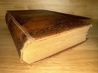 Jennie June's American Cookery Book 1878 Edition The American News Company