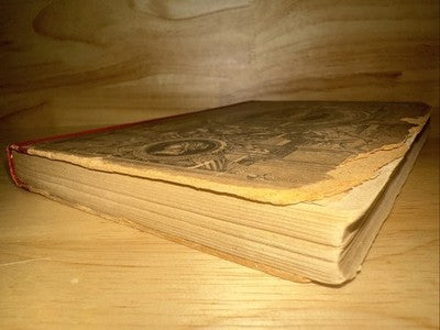Germania Kalender 1882 German Calendar Antique Rare Vintage Book