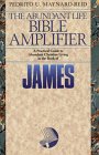 James: True Religion in Suffering (The Abundant Life Bible Amplifier) Maynard-Reid, Pedrito U.