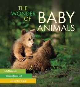 Wonder of Baby Animals [Hardcover]