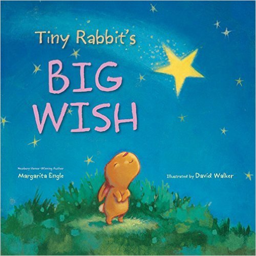 Tiny Rabbit's Big Wish [Paperback] Margarita Engle and David Walker