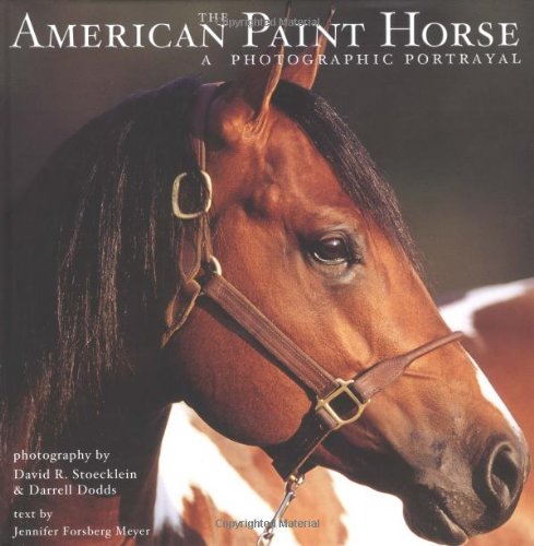 The American Paint Horse : A Photographic Portrayal Meyer, Jennifer Forsberg; Stoecklein, David R. and Dodds, Darrell