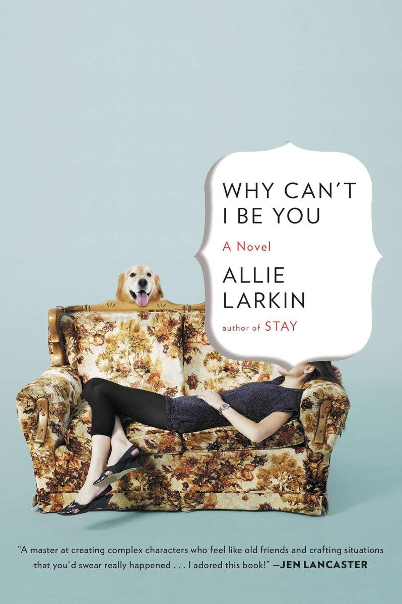 Why Can't I Be You: A Novel [Paperback] Larkin, Allie - Good