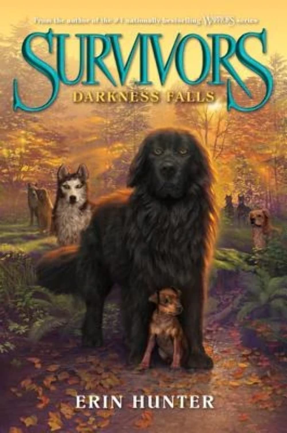 Survivors #3: Darkness Falls [Hardcover] Hunter, Erin