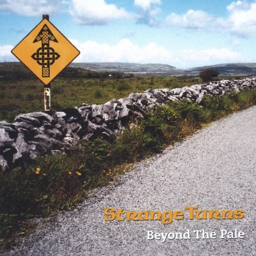 Strange Turns [Audio CD] - Good