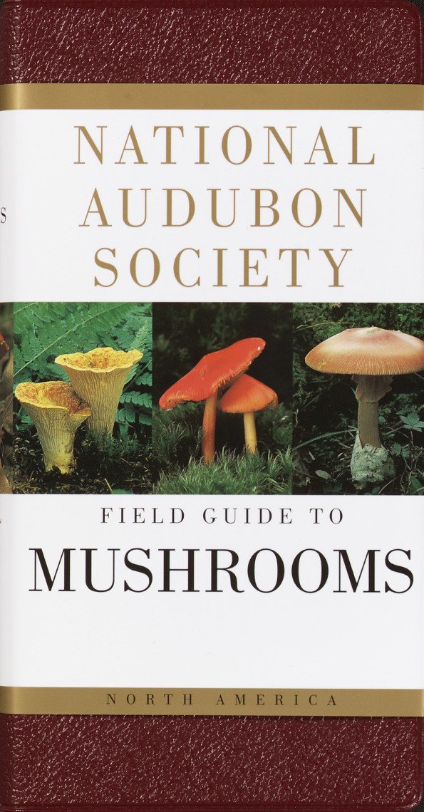 National Audubon Society Field Guide to North American Mushrooms (National Audubon Society Field Guides)