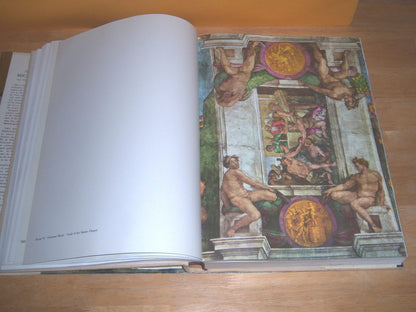 The Complete Work of Michelangelo [Hardcover] [Michelangelo] Salmi, Mario, et al. - Good