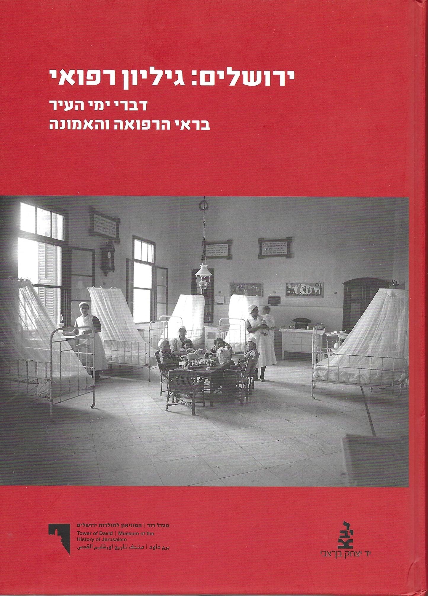 Jerusalem - A Medical Diagnosis: The History of Jerusalem Reflected in Medicine and Beliefs [Hardcover] Shalev-Khalifa, Nirit - Very Good