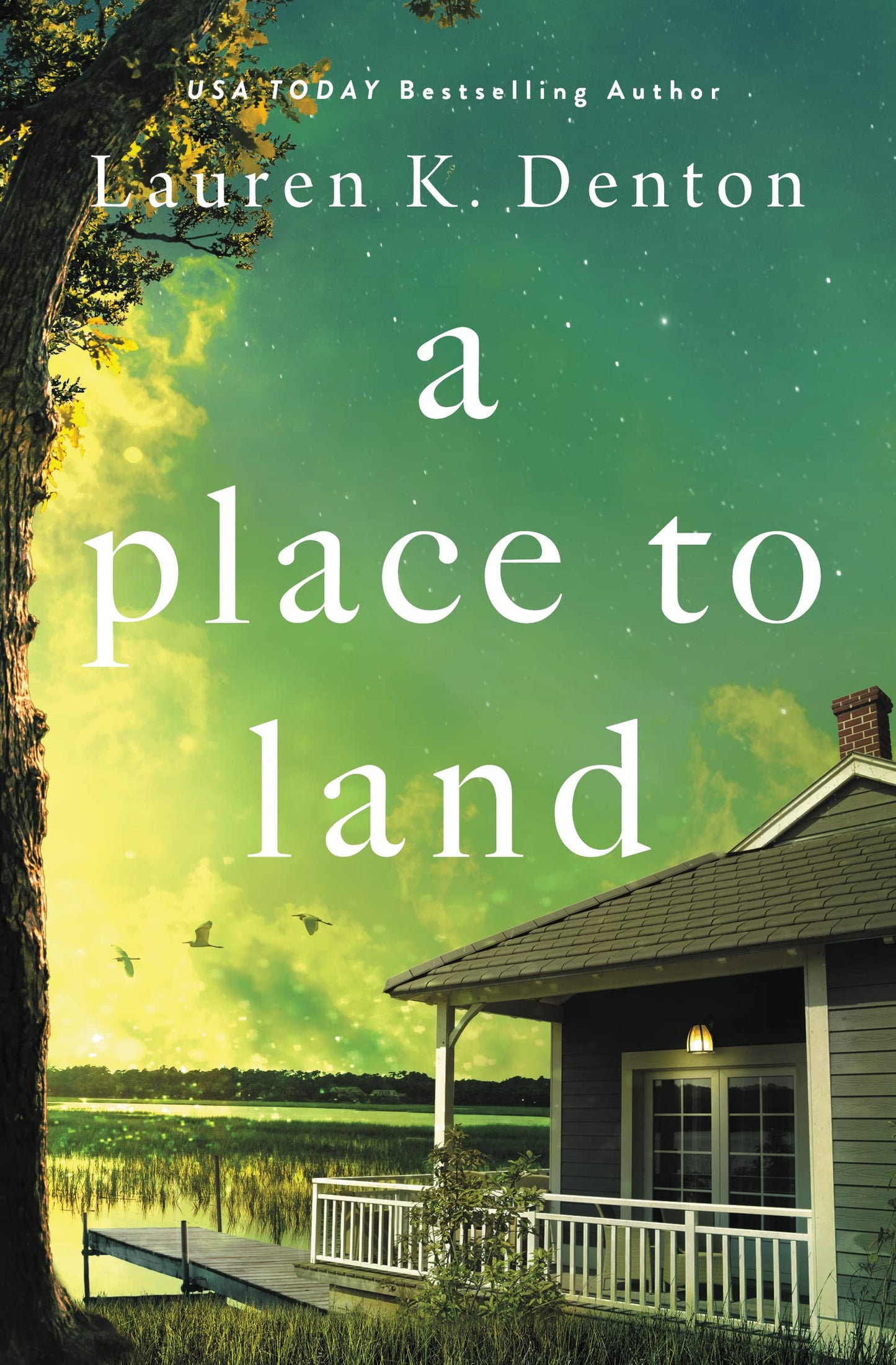 A Place to Land [Hardcover] Denton, Lauren K.