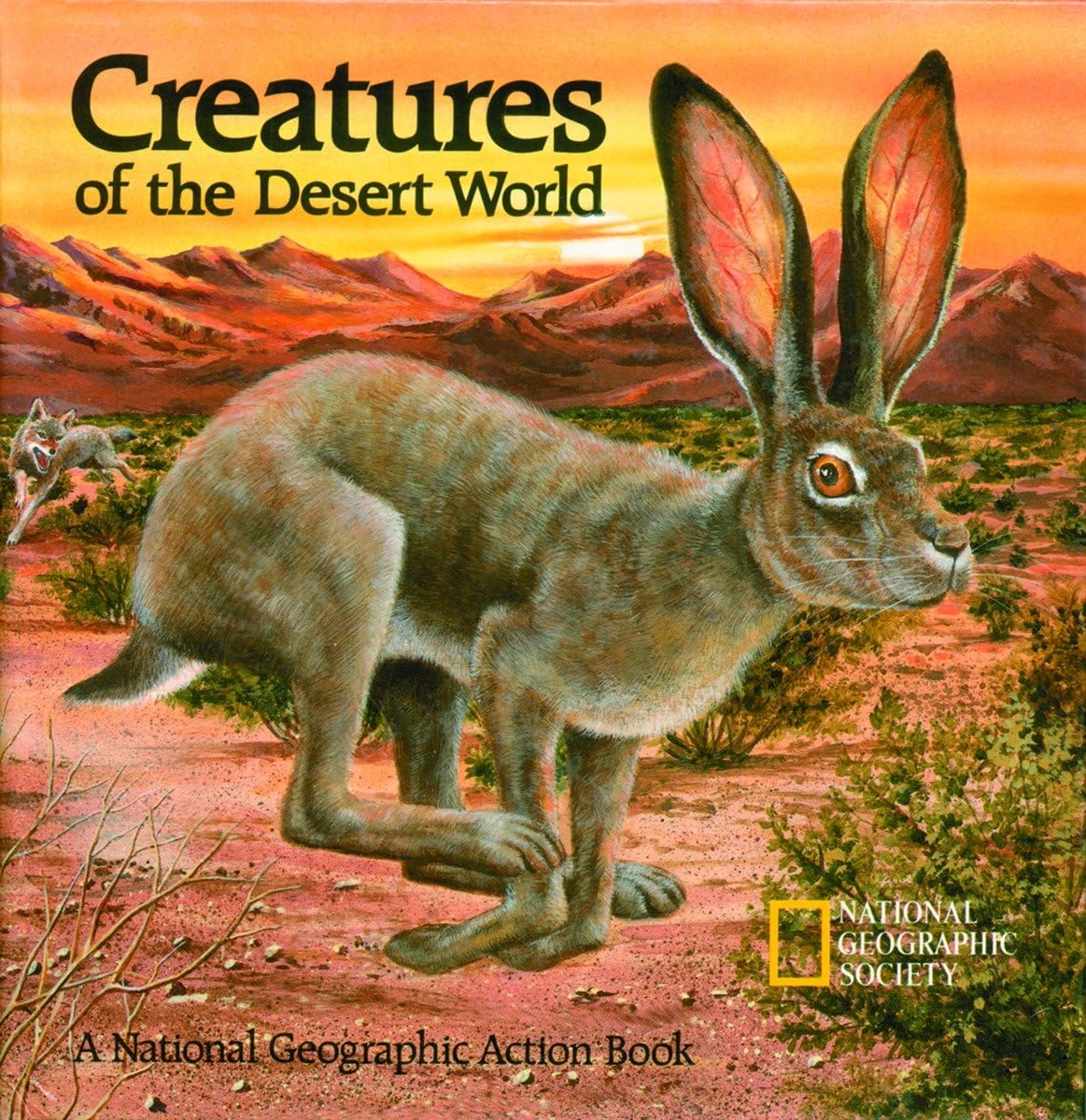 Creatures of the Desert World