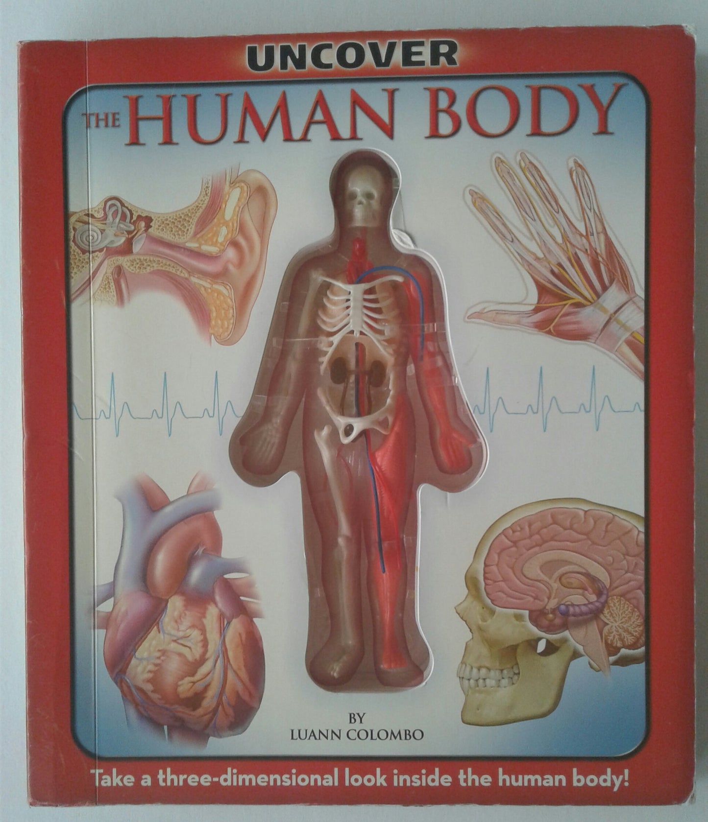 Uncover the Human Body: An Uncover It Book Luann Colombo and Jennifer Fairman