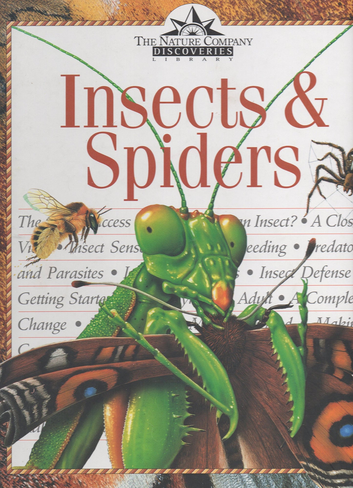 Insects & Spiders (Nature Company Discoveries Libraries) Burnie, David and Else, George