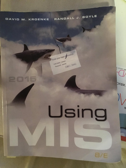 Using MIS (8th Edition)