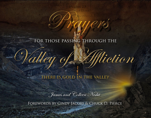 Prayers for Those Passing Through the Valley of Affliction [Spiral-bound] James Nesbit and Colleen Nesbit - Good