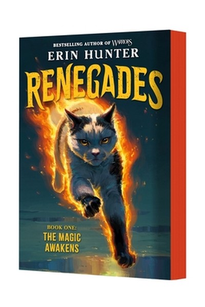 Renegades #1: The Magic Awakens - book cover