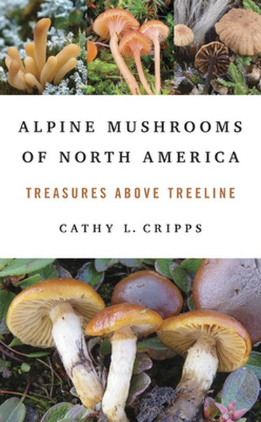 Alpine Mushrooms of North America: Treasures Above Treeline
