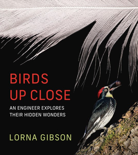 Birds Up Close: An Engineer Explores Their Hidden Wonders
