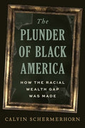 The Plunder of Black America: How the Racial Wealth Gap Was Made