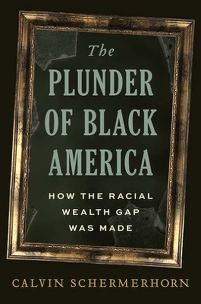 The Plunder of Black America: How the Racial Wealth Gap Was Made