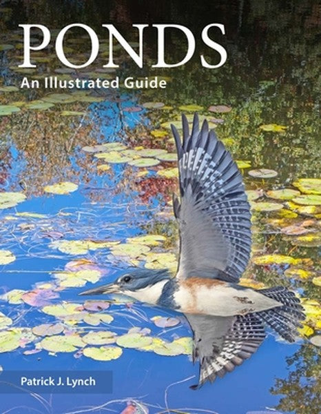 Ponds: An Illustrated Guide