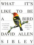 What It's Like to Be a Bird: From Flying to Nesting, Eating to Singing--What Birds Are Doing, and Why