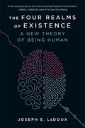 The Four Realms of Existence: A New Theory of Being Human