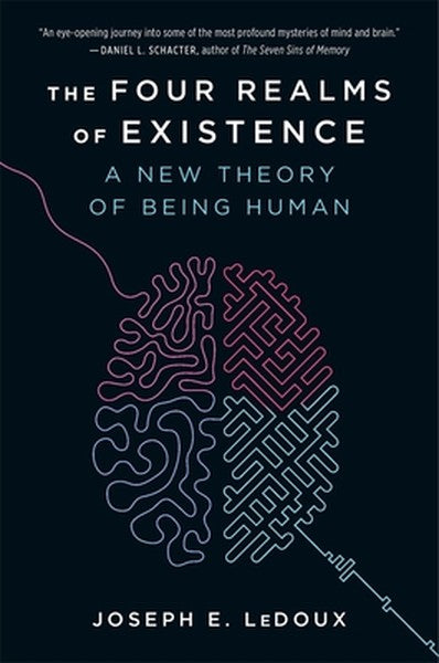 The Four Realms of Existence: A New Theory of Being Human