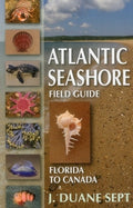 Atlantic Seashore Field Guide: Florida to Canada