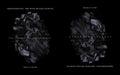 Transtraterrestrial: Dark Matter and Black Divinities