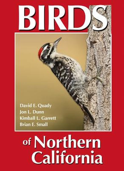 Birds of Northern California