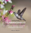 Amazing Hummingbirds You Can Find in Arizona: Strategies for attracting, feeding, and photographing these miniature marv