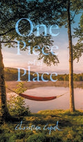 One Piece out of Place