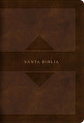 Rvr 1960 Biblia Letra Grande Tamaño Manual Edición Tierra Santa, Café Símil Piel Mass Market